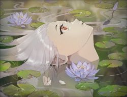 Rule 34 | 1girl, floating hair, flower, kf8fw, lily pad, looking up, original, parted lips, partially submerged, petals, portrait, profile, purple flower, red eyes, shadow, silver hair, solo
