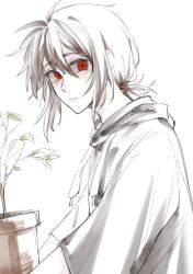 Rule 34 | 1boy, alternate hairstyle, black hoodie, brown hair, closed mouth, commentary, flower pot, hair between eyes, highres, holding, holding flower pot, hood, hood down, hoodie, isoi haruki, kaze (yznyttdgs), low ponytail, male focus, pale skin, plant, saibou shinkyoku, short ponytail, simple background, solo, white background