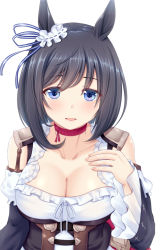 Rule 34 | 1girl, animal ears, black hair, black sleeves, blue eyes, bow, breasts, cleavage, commentary request, detached sleeves, ear ribbon, eishin flash (umamusume), hair between eyes, hanazome dotera, hand up, horse ears, layered sleeves, long sleeves, looking at viewer, medium breasts, parted lips, puffy short sleeves, puffy sleeves, short over long sleeves, short sleeves, simple background, smile, solo, umamusume, upper body, white background, wide sleeves