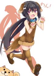 Rule 34 | 1girl, absurdres, amano kouki, animal, animal collar, animal ears, bare shoulders, black hair, blue collar, bone hair ornament, brown dress, brown footwear, brown thighhighs, claw pose, collar, commentary request, dog, dog ears, dog girl, dog tail, dress, fang, fur-trimmed dress, fur trim, hair between eyes, hair ornament, highres, kemonomimi mode, long hair, looking at viewer, low ponytail, note-chan, open mouth, original, ponytail, purple eyes, shoes, short dress, solo, tail, thighhighs, very long hair, white background