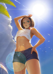 Rule 34 | 1girl, abs, armpit peek, armpits, backlighting, banajune, bare shoulders, bird, bob cut, breasts, brown hair, chinese commentary, cloud, cloudy sky, commentary, cowboy shot, crop top, day, denim, denim shorts, earrings, from below, green eyes, hand on own hip, jewelry, lens flare, looking at viewer, medium breasts, midriff, navel, no bra, original, palm tree, see-through, shirt, short hair, short shorts, shorts, sky, sleeveless, solo, standing, sun, sunlight, tan, tank top, tree, umbrella