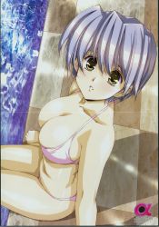 Rule 34 | 1girl, alpha (urushihara), bikini, breasts, checkered floor, cleavage, crease, floor, from above, highres, large breasts, light purple hair, looking at viewer, megami magazine, official art, parted lips, pink bikini, pool, poolside, scan, short hair, sitting, solo, swimsuit, urushihara satoshi, water, yellow eyes