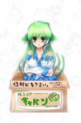 Rule 34 | 1girl, animal ears, bad id, bad pixiv id, blush, box, breasts, cleavage, detached sleeves, female focus, for adoption, frog, green eyes, green hair, hair ornament, in box, in container, kemonomimi mode, kochiya sanae, large breasts, matching hair/eyes, snake, solo, tail, tomcho, touhou