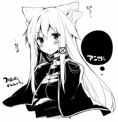 Rule 34 | 1girl, anceril sacred, animal ears, cape, cat ears, greyscale, long hair, looking at viewer, mishima kurone, monochrome, original, simple background, solo, white background