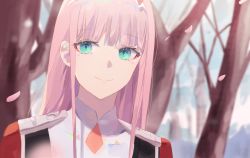 Rule 34 | 1girl, blue eyes, blunt bangs, blurry, blurry background, cherry blossoms, closed mouth, darling in the franxx, highres, long hair, looking at viewer, outdoors, pink hair, portrait, smile, solo, straight hair, tr (hareru), tree, zero two (darling in the franxx)