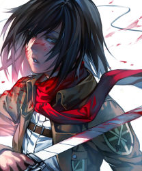 Rule 34 | 1girl, black hair, blood, blood on clothes, blood on face, blood splatter, bloody weapon, eyelashes, grey eyes, highres, holding, holding sword, holding weapon, irohara mitabi, jacket, lips, long sleeves, mikasa ackerman, military, military uniform, parted lips, red scarf, scarf, shingeki no kyojin, short hair, simple background, solo, sword, uniform, upper body, weapon, white background