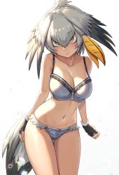 Rule 34 | 10s, 1girl, adapted costume, backlighting, blush, bra, breasts, cleavage, closed mouth, collarbone, commentary, cowboy shot, fingerless gloves, gloves, green eyes, grey bra, grey panties, guchico, head wings, highres, kemono friends, large breasts, looking at viewer, navel, panties, sandstar, shoebill (kemono friends), silver hair, simple background, solo, tail, thigh gap, underwear, underwear only, white background, wings