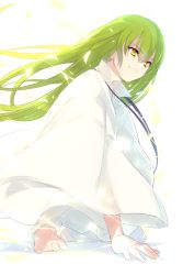 Rule 34 | 1other, androgynous, black ribbon, closed mouth, commentary request, echo (circa), enkidu (fate), fate/grand order, fate/strange fake, fate (series), hair between eyes, long hair, looking away, petals, ribbon, robe, simple background, sitting, smile, toga, white background, white robe, yellow eyes