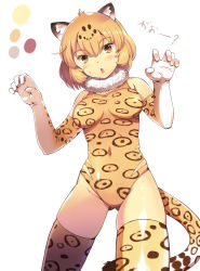 Rule 34 | 10s, 1girl, :o, adapted costume, ahoge, animal ears, bare shoulders, blonde hair, blush, breasts, commentary request, cowboy shot, elbow gloves, fur collar, gloves, groin, hair between eyes, jaguar (kemono friends), jaguar ears, jaguar print, jaguar tail, kemono friends, looking at viewer, medium breasts, partial commentary, paw pose, print gloves, print leotard, print thighhighs, short hair, simple background, sleeveless, solo, sweat, tail, thighhighs, white background, yellow eyes, ymatuz
