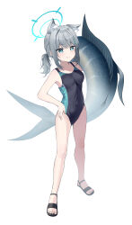 Rule 34 | 1girl, absurdres, animal ear fluff, animal ears, aqua eyes, blue archive, blush, breasts, carrying over shoulder, commentary, competition swimsuit, covered navel, cross hair ornament, doyagao, fish, full body, grey hair, groin, hair ornament, halo, hand on own hip, highres, looking at viewer, medium breasts, mismatched pupils, one-piece swimsuit, ponytail, sandals, shan (ti0n), shiroko (blue archive), shiroko (swimsuit) (blue archive), short ponytail, sidelocks, simple background, smile, smug, solo, swimsuit, toes, two-tone one-piece swimsuit, white background, wolf ears