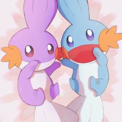 Rule 34 | :d, alternate color, bad id, bad twitter id, brown eyes, commentary request, creatures (company), from above, game freak, gen 3 pokemon, happy, highres, looking at viewer, lying, mudkip, nintendo, no humans, on back, open mouth, pokemon, pokemon (creature), shiny and normal, shiny pokemon, smile, tongue, umekobushi