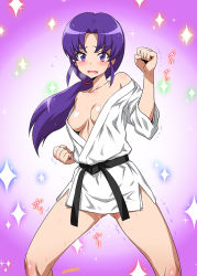 Rule 34 | 10s, 1girl, blush, bottomless, breasts, cleavage, dougi, embarrassed, flying sweatdrops, happinesscharge precure!, hikawa iona, joy ride, karate gi, long hair, nipple slip, nipples, no pants, off shoulder, open mouth, ponytail, precure, purple eyes, purple hair, small breasts, solo