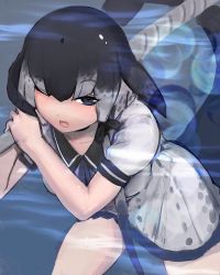 Rule 34 | 1girl, absurdres, bare arms, black hair, blowhole, blue eyes, bow, cetacean tail, dress, drillhorn sword, fins, fish tail, grey hair, hair bow, half-closed eye, head fins, highres, kemono friends, leaning forward, long hair, looking at viewer, multicolored hair, narwhal (kemono friends), one eye closed, over shoulder, shibori kasu, short dress, short sleeves, side ponytail, solo, submerged, tail, two-tone hair, underwater, very long hair, water, weapon, weapon over shoulder