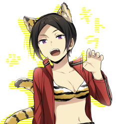 Rule 34 | 1girl, 7100potechi, animal ears, animal print, black hair, bra, breasts, hand up, jacket, kitora ai, long sleeves, looking at viewer, medium breasts, open clothes, open hand, open jacket, open mouth, purple eyes, red jacket, short hair, solo, tail, tiger ears, tiger print, tiger tail, underwear, upper body, white background, world trigger