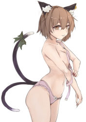Rule 34 | 1girl, animal ear fluff, animal ears, breasts, brown eyes, brown hair, cat ears, cat tail, chen, cleavage, cowboy shot, denpajin-ryuushi, from side, highres, light smile, looking at viewer, multiple tails, nekomata, no headwear, no headwear, short hair, simple background, sketch, small breasts, solo, tail, touhou, two tails, underwear, white background