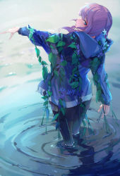 Rule 34 | 1girl, absurdres, arknights, blue eyes, blue hoodie, blue poison (arknights), closed mouth, frog, fuyukayui, highres, hood, hoodie, looking back, outstretched hand, pink hair, plant, solo, standing, sweater, vines, wading, water