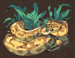 Rule 34 | animal, animal focus, ball python, brown background, brown eyes, commentary, commission, english commentary, full body, highres, leaf, no humans, original, python, rentgraham, signature, simple background, snake, solo, tongue, tongue out