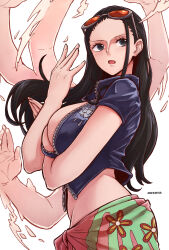 Rule 34 | 1girl, aosora, breasts, large breasts, long hair, nico robin, one piece, solo