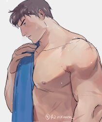 Rule 34 | 1boy, 42nkooon, bara, blue towel, brown hair, garen (league of legends), large pectorals, league of legends, looking at viewer, male focus, muscular, muscular male, nipples, pectorals, short hair, simple background, solo, towel, towel on one shoulder, twitter username, white background