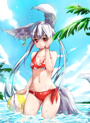 Rule 34 | 1girl, animal ears, arm at side, ball, beachball, bikini, blade &amp; soul, blue sky, bracelet, breasts, cleavage, contrapposto, day, dema hmw, ear piercing, gold, grey hair, hand on own face, highres, jewelry, leaf, long hair, looking at viewer, medium breasts, navel, piercing, red bikini, red eyes, sky, solo, standing, star (symbol), star print, stomach, sunlight, swimsuit, tail, very long hair, wading, water, wet