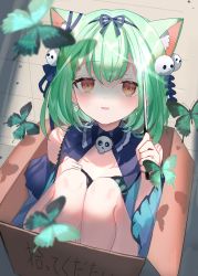 Rule 34 | 1girl, absurdres, animal ear fluff, animal ears, blue bow, blue dress, blush, bow, bow hairband, box, bug, butterfly, cat ears, commentary request, dress, extra ears, eyes visible through hair, ghost earrings, green butterfly, green eyes, hair ornament, hairband, highres, hololive, in box, in container, insect, knees up, looking at viewer, parted lips, paw pose, red eyes, shaded face, shiohana, short hair, sitting, skull hair ornament, smile, solo, translated, uruha rushia, uruha rushia (1st costume), virtual youtuber