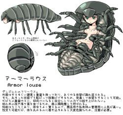 Rule 34 | 1girl, animal request, arthropod girl, arthropod limbs, bad id, bad pixiv id, breasts, closed mouth, concept art, green eyes, jitome, looking at viewer, man (man-room), monster girl, multiple views, navel, nipples, nude, original, pillbug, pussy, simple background, small breasts, translation request, uncensored, what, white background