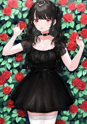 Rule 34 | 1girl, absurdres, black choker, black dress, black hair, breasts, choker, cleavage, dress, earrings, fang, flower, highres, jewelry, lace, lace-trimmed legwear, lace trim, long hair, nail polish, original, red eyes, red nails, rose, rose bush, thighhighs, two side up, usagiplanet7, white thighhighs