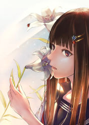 Rule 34 | 1girl, backlighting, black sailor collar, blue flower, blunt bangs, brown eyes, brown hair, bug, expressionless, eyelashes, fingernails, flower, gradient background, graphite (medium), grey background, hair flower, hair ornament, hairclip, hime cut, insect, ladybug, leaf, light particles, lily (flower), long hair, looking away, mechanical pencil, oki (koi0koi), original, parted lips, pencil, planet hair ornament, sailor collar, saturn (planet), school uniform, shadow, shiny skin, simple background, solo, straight hair, sunlight, traditional media, uniform, upper body, white background, white flower