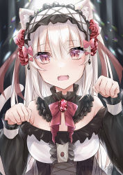 Rule 34 | 1girl, animal ear fluff, animal ears, blush, bow, breasts, brooch, cat ears, cat girl, cat tail, center frills, clip studio paint (medium), commentary request, fang, flower, frilled shirt, frills, hair between eyes, hair bow, hair flower, hair ornament, hands up, highres, jewelry, long hair, long sleeves, looking at viewer, medium breasts, open mouth, original, paw pose, pink bow, puffy long sleeves, puffy sleeves, red eyes, red flower, red rose, ringouulu, rose, see-through, shirt, sleeves past wrists, solo, tail, upper body, very long hair, white hair, white shirt