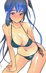Rule 34 | 1girl, bikini, black hair, blue eyes, blush, breasts, coin rand, hand on own thigh, hand on thigh, highres, hip focus, large breasts, leaning forward, long hair, looking at viewer, original, side-tie bikini bottom, side ponytail, sidelocks, smile, solo, swimsuit, thighs, very long hair