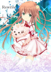 Rule 34 | 1girl, absurdres, ahoge, animal, blue background, blush stickers, braid, brown hair, chibi-moth, closed mouth, commentary, copyright name, cowboy shot, dress, floating hair, flower, frilled dress, frilled sleeves, frills, green eyes, hair between eyes, hair flower, hair ornament, headpat, highres, holding, holding animal, juliet sleeves, kanbe kotori, kazamatsuri institute high school uniform, light blush, long hair, long sleeves, looking at viewer, pink dress, pink flower, puffy sleeves, red ribbon, rewrite, ribbon, ririka (ab-yuri), school uniform, simple background, smile, solo, sparkle, standing, thighhighs, twin braids, very long hair, white flower, white thighhighs, wide sleeves