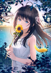 Rule 34 | 1girl, bare arms, bare shoulders, black hair, blue eyes, blurry, blurry background, blurry foreground, collarbone, commentary request, depth of field, dress, flower, from side, hair ribbon, highres, holding, holding flower, hyuuga azuri, long hair, looking at viewer, original, outdoors, petals, ribbon, sleeveless, sleeveless dress, solo, sunflower, transparent ribbon, upper body, white dress