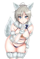 Rule 34 | 1girl, ahoge, anastasia (idolmaster), animal ears, arm at side, bare shoulders, bikini, bikini bottom only, blue bikini, blue eyes, blush, breasts, cleavage, cosplay, cowboy shot, elbow gloves, eyelashes, finger to mouth, fingernails, fur-trimmed gloves, fur-trimmed legwear, fur collar, fur trim, gloves, groin, hair between eyes, hand on own thigh, hand up, highres, idolmaster, idolmaster cinderella girls, leaning forward, looking at viewer, mash kyrielight, mash kyrielight (dangerous beast), mash kyrielight (dangerous beast) (cosplay), medium breasts, navel, official alternate costume, otone, parted lips, revealing clothes, sharp fingernails, short hair, silver hair, simple background, solo, standing, stomach, swimsuit, tail, thighhighs, white background, white gloves, white thighhighs, wolf ears, wolf tail