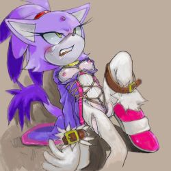 Rule 34 | bdsm, blaze the cat, blush, bondage, bound, breasts, furry, lowres, pussy, rope, sega, sonic (series), tagme, tears