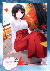 Rule 34 | 1girl, absurdres, autumn, autumn leaves, black hair, breasts, brown eyes, coffee-kizoku, hakama, hakama skirt, highres, japanese clothes, long sleeves, looking at viewer, medium breasts, miko, open mouth, outdoors, red hakama, sandals, scan, shrine, sitting, skirt, sky, solo, stairs, tabi, torii, tree