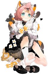 Rule 34 | 1girl, absurdres, animal ear fluff, animal ears, bangs pinned back, barefoot, bottle, cat ears, cat girl, cat tail, clover print, coin hair ornament, detached sleeves, diona (genshin impact), feet, flower, genshin impact, green eyes, hair ornament, hat, highres, looking at viewer, menthako, paw print palms, puffy detached sleeves, puffy shorts, puffy sleeves, qingdai guanmao, shoes, unworn shoes, shorts, skirt, socks, soles, tail, thick eyebrows, torn clothes, torn legwear, torn socks, wine bottle
