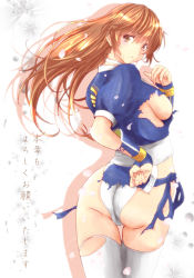 Rule 34 | 1girl, ass, breasts, dead or alive, from behind, kasumi (doa), kettsu, large breasts, long hair, looking back, solo