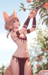 Rule 34 | 1girl, animal ear fluff, animal ears, armband, blonde hair, blurry, blurry background, branch, commentary, cowboy shot, day, ear piercing, english commentary, flat chest, food, fruit, highres, jewelry, khiara (personal ami), leaf, light smile, long hair, looking away, low twintails, navel, necklace, original, outdoors, peach, pelvic curtain, personal ami, picking fruit, piercing, solo, tail, twintails, yellow eyes