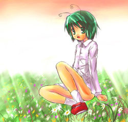 Rule 34 | 1girl, antennae, female focus, flower, full body, gradient background, grass, green eyes, green hair, matching hair/eyes, nature, no pants, outdoors, plant, red footwear, shirt, shoes, short hair, sitting, sky, socks, solo, touhou, white background, wriggle nightbug