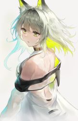 Rule 34 | 1girl, animal ear fluff, animal ears, arknights, back, bare shoulders, blonde hair, blue hair, breasts, cat ears, coat, collar, gradient hair, green eyes, grey hair, greypidjun, highres, kal&#039;tsit (arknights), looking away, looking to the side, medium breasts, multicolored hair, off shoulder, open clothes, open coat, parted lips, see-through, solo, white coat
