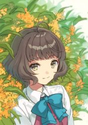 Rule 34 | 1girl, ahoge, blue bow, blue bowtie, blunt bangs, bow, bowtie, brown eyes, brown hair, commentary request, flower, halterneck, kantai collection, kishinami (kancolle), looking at viewer, mitsuyo (mituyo324), plant, school uniform, shirt, short hair, smile, solo, upper body, wavy hair, white shirt