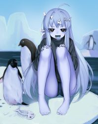 Rule 34 | 1girl, :d, ahoge, barefoot, bird, black eyes, black shirt, blue hair, blue skin, bone, colored skin, commentary request, day, fish bone, full body, hands on own knees, highres, iceberg, long hair, looking at viewer, ompf, open mouth, original, outdoors, penguin, shirt, sitting, smile, v-shaped eyebrows, very long hair, water