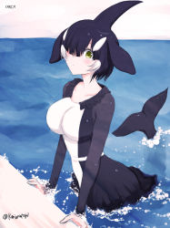 Rule 34 | 1girl, artist name, black hair, blush, cetacean tail, collarbone, commentary request, dress, fins, fish tail, frilled dress, frills, hair over one eye, head fins, in water, kemono friends, long sleeves, looking at viewer, multicolored hair, niwatori kokezou, orca (kemono friends), short hair, solo, tail, two-tone hair, water, white hair, yellow eyes