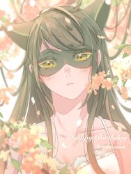 Rule 34 | 1girl, animal ears, black hair, black mask, cat ears, cat girl, cherry blossoms, closed mouth, dress, falling petals, flower, green eyes, highres, lady noir, light blush, long hair, looking at viewer, marinette dupain-cheng, mask, mask on head, miraculous ladybug, petals, slit pupils, solo, uneko anime, upper body, white dress