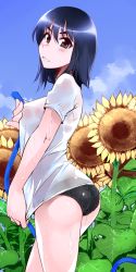 Rule 34 | 00s, 1girl, ass, black eyes, black panties, blue hair, blue sky, blush, breasts, cosaten, day, flower, from behind, highres, hose, leaf, looking at viewer, looking back, medium breasts, no pants, outdoors, panties, plant, school rumble, see-through, shirt, sky, smile, sunflower, suou mikoto (school rumble), underwear, water, wet, wet clothes, wet shirt, white shirt