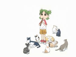 Rule 34 | 1girl, cat, child, flute, highres, holding flute, holding instrument, instrument, koiwai yotsuba, quad tails, raglan sleeves, recorder, simple background, solo, too many, too many cats, wallpaper, white background, yotsubato!