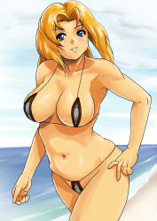 Rule 34 | 1girl, beach, bikini, blonde hair, blue eyes, breasts, cleavage, dead or alive, shu-z, solo, swimsuit, tecmo, tina armstrong
