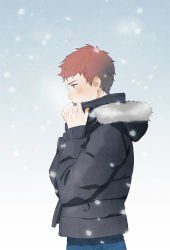 Rule 34 | 1boy, bad id, bad pixiv id, blush, brown eyes, brown hair, coat, covered mouth, duffel coat, emiya shirou, fate/stay night, fate (series), from side, male focus, red hair, snowing, solo, taa (acid), winter clothes