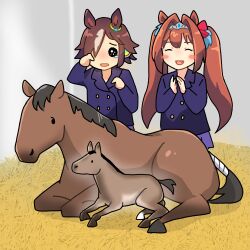 Rule 34 | 2girls, absurdres, animal ears, blue jacket, blush stickers, bow, brown hair, clapping, commentary, daiwa scarlet (umamusume), ear ornament, fang, hair bow, hair intakes, hair over one eye, highres, horse, horse ears, horse girl, indoors, jacket, light brown hair, long hair, long sleeves, multicolored hair, multiple girls, ooishi oil, purple skirt, real life, red bow, rubbing eyes, scarlet tale (racehorse), skirt, tearing up, tiara, twintails, two-tone hair, umamusume, vodka (umamusume)