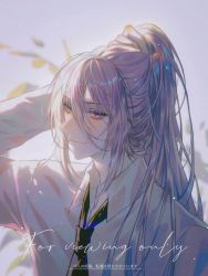 Rule 34 | 1boy, absurdres, bishounen, blue eyes, cael anselm, collared shirt, grey hair, highres, holding, holding own hair, long hair, looking at viewer, lovebrush chronicles, male focus, shirt, solo, tying hair, very long hair, white hair, white shirt, zhumojian